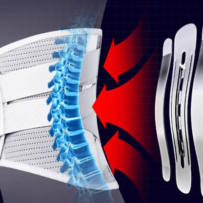 Back Brace Lumbar Support Belt Adjustable Straps Breathable Mesh Muscle Support for Men Women